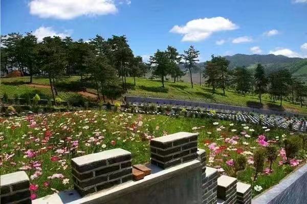 ��»����